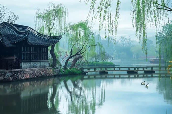 今日清明(图1)