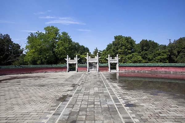 今日，春分(图11)